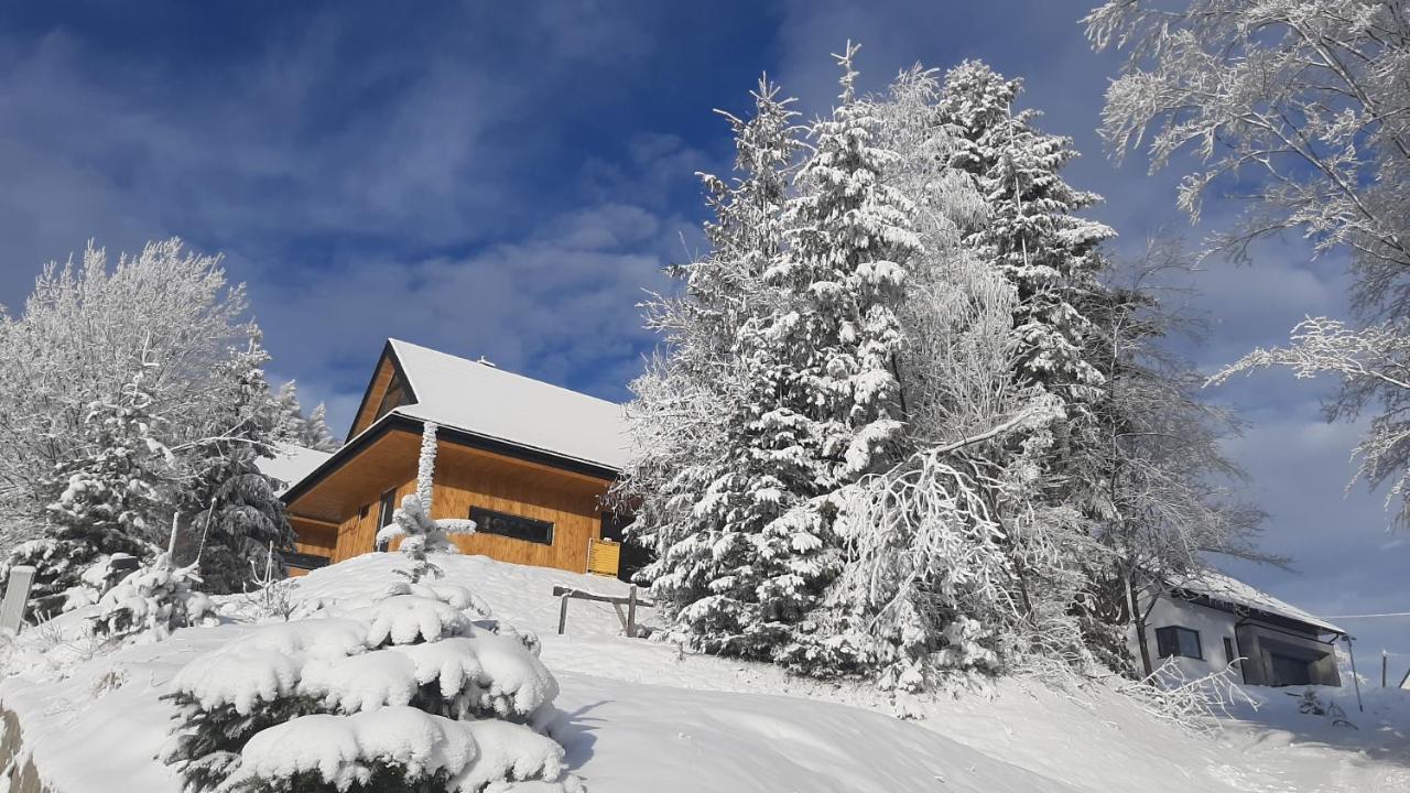 Domki Krynica Villa Exterior photo