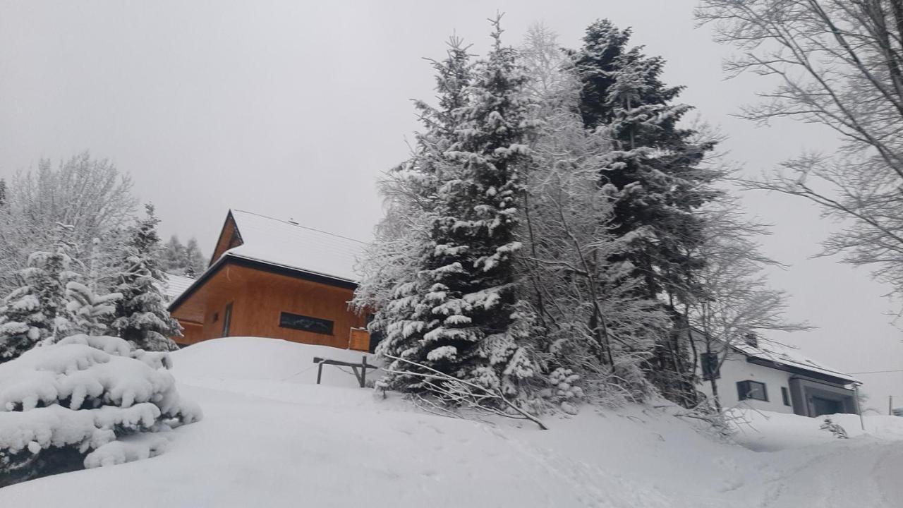 Domki Krynica Villa Exterior photo